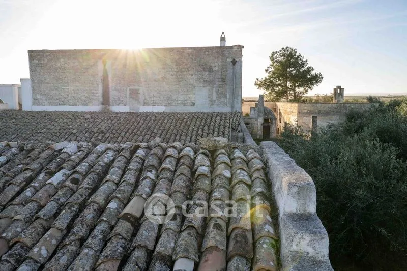 Extérieur - Masseria with Olive Grove in Barletta