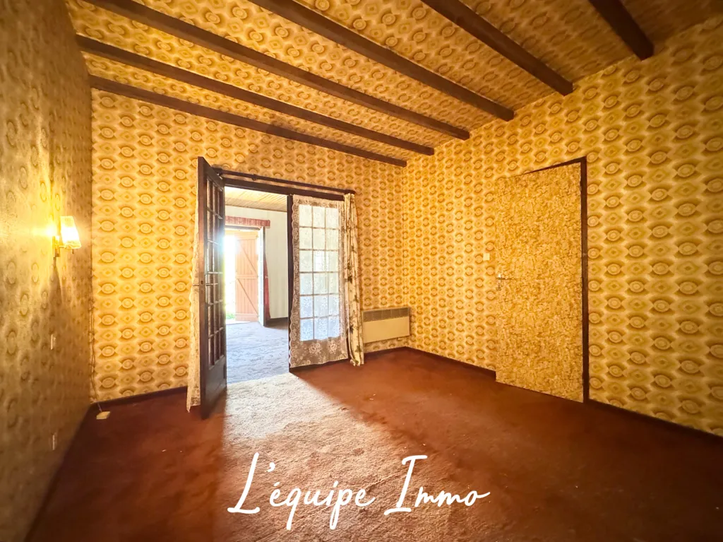 Toad - Village House with Potential in Cadours