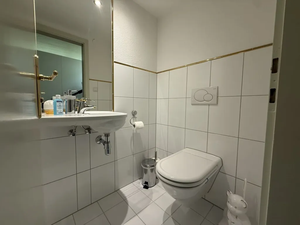 Bathrooms - Commercial Space in Central Bregenz