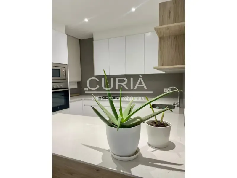 Cuisine - Reformed Apartment with River View in Historic Centre