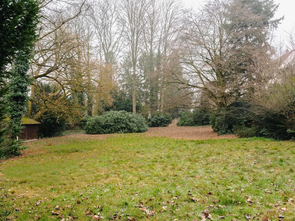 garden