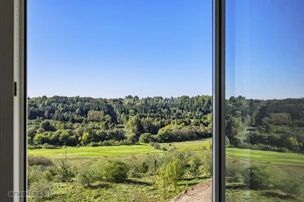 Toad - 2-Bedroom Apartment with River View in Ariogala