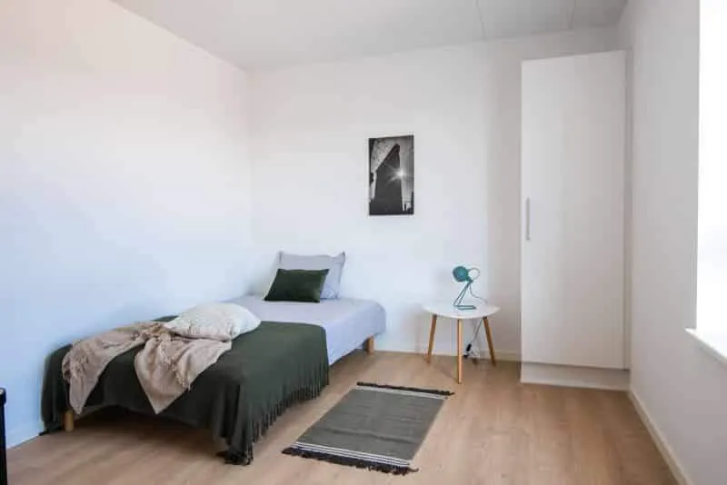 Magamistoad - 5-Bedroom Apartment with Garden in Agedrup