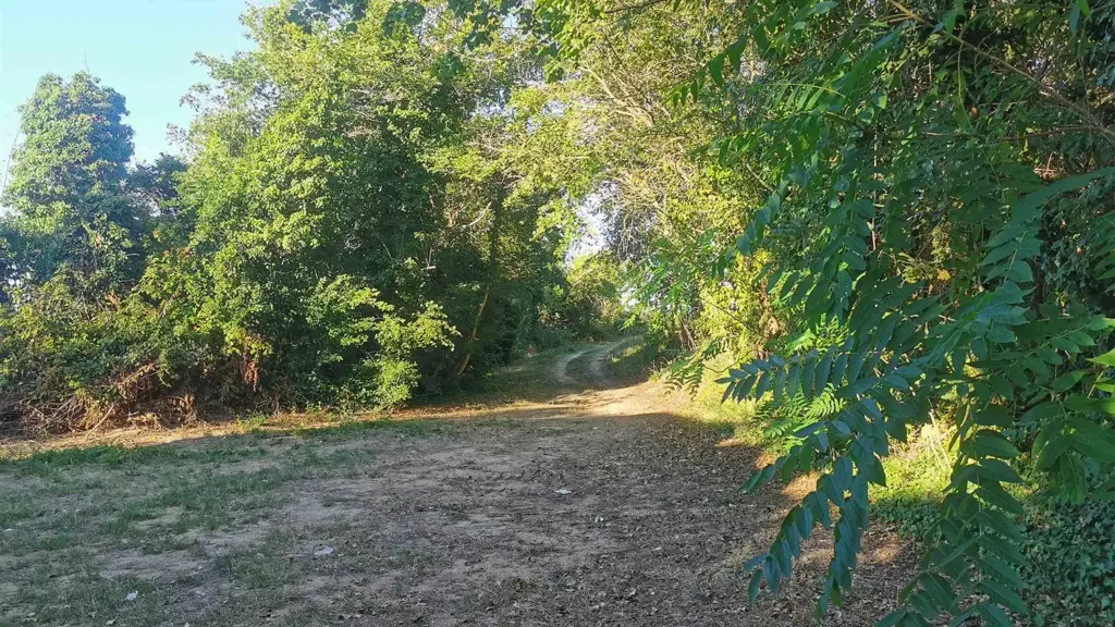 Jardin - Rustic Farmhouse with Sea View in Civitanova Alta