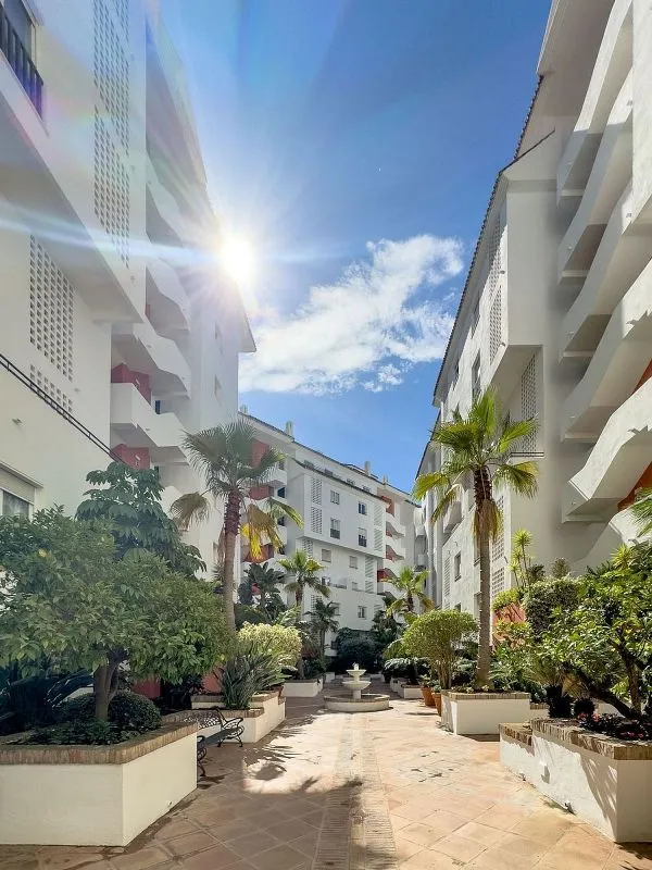 Jardin - Penthouse with Pool in Casco Antiguo