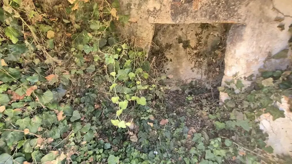 5-room house in IT