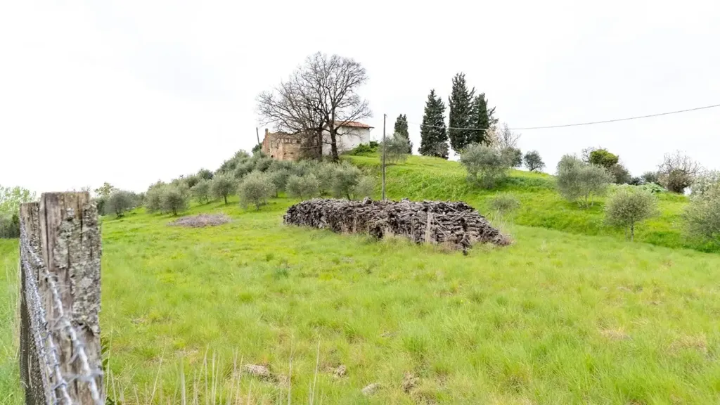 Garden - Rustic Property with Historic Convent in Fucecchio