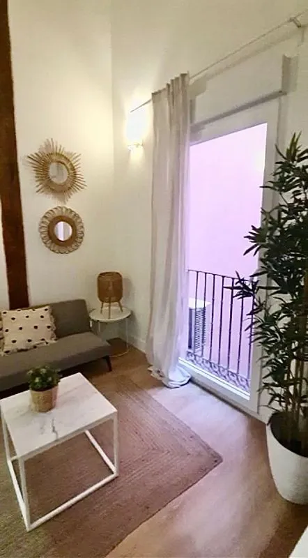 Séjour - Furnished Studio in Lavapiés, Madrid