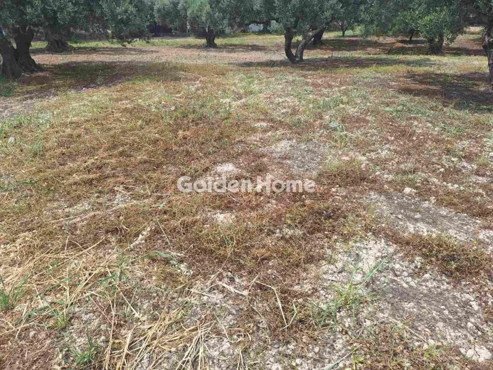 Giardino - Buildable Plot with Sea View in Heraklion
