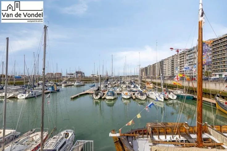 Bien à Blankenberge
