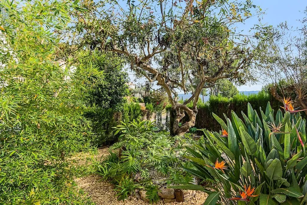 Jardin - Chalet with Pool and Terrace in Pedreguer