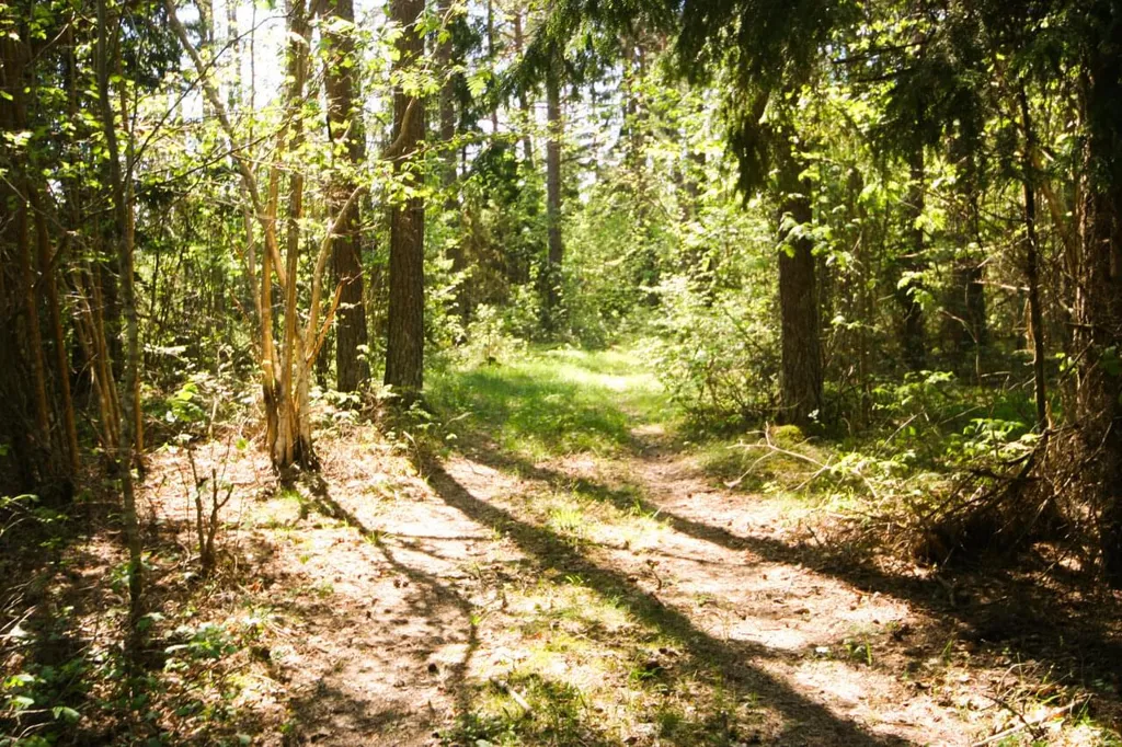 Jardin - Plot with Potential for Cottage in Meiuste