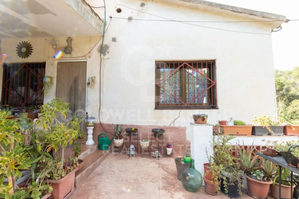 Terrasse - Two-Family Chalet with Pool in La Floresta