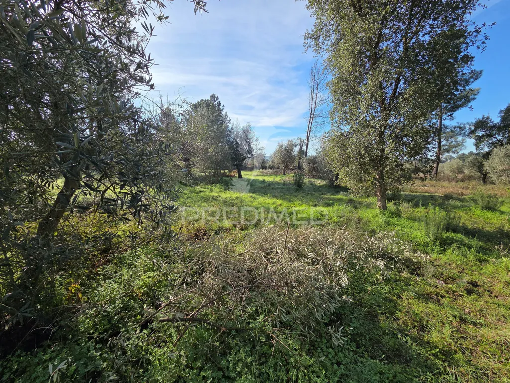 Aed - Urban Plot with Construction Permit in Ribatejo