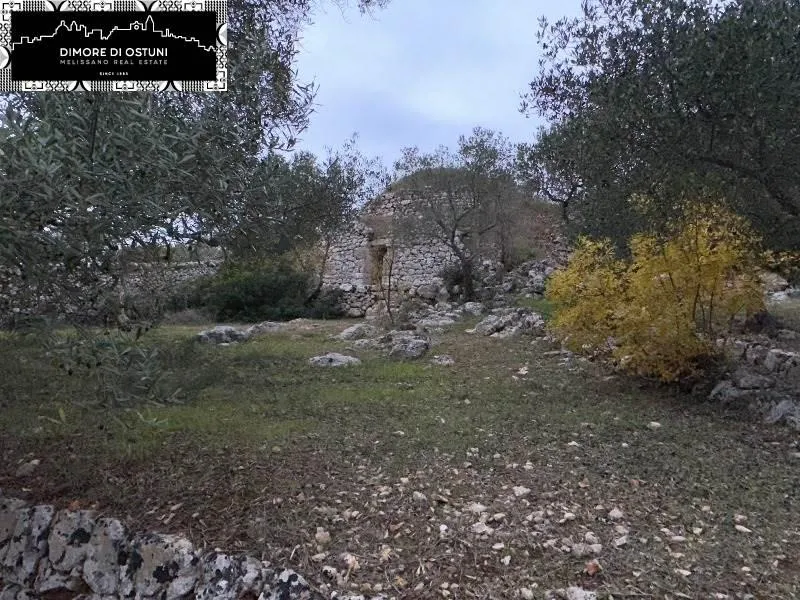 Garden - Saracen Trullo with Olive Grove in Ostuni