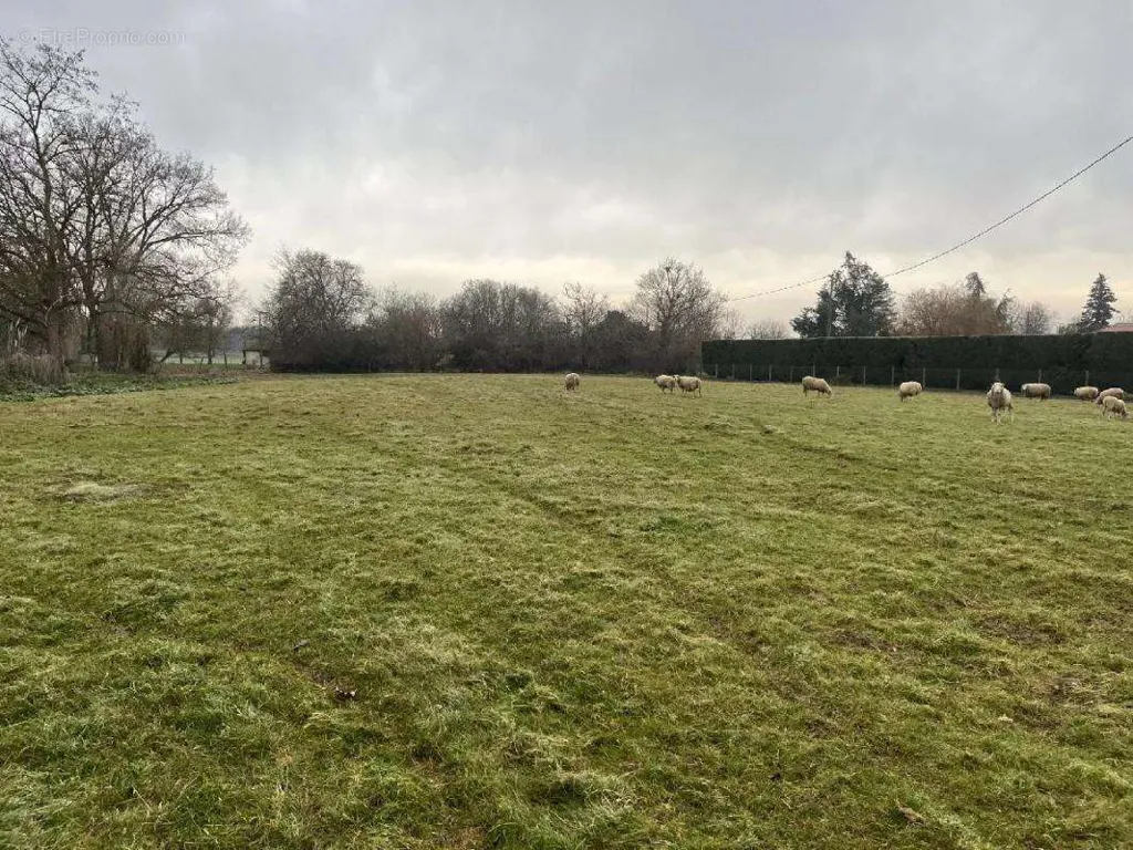 Giardino - Extensive Land in Roquelaure