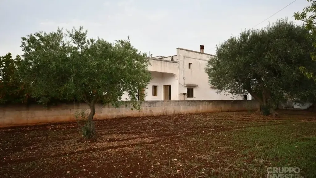Extérieur - Restoration Villa with Garden in Cisternino