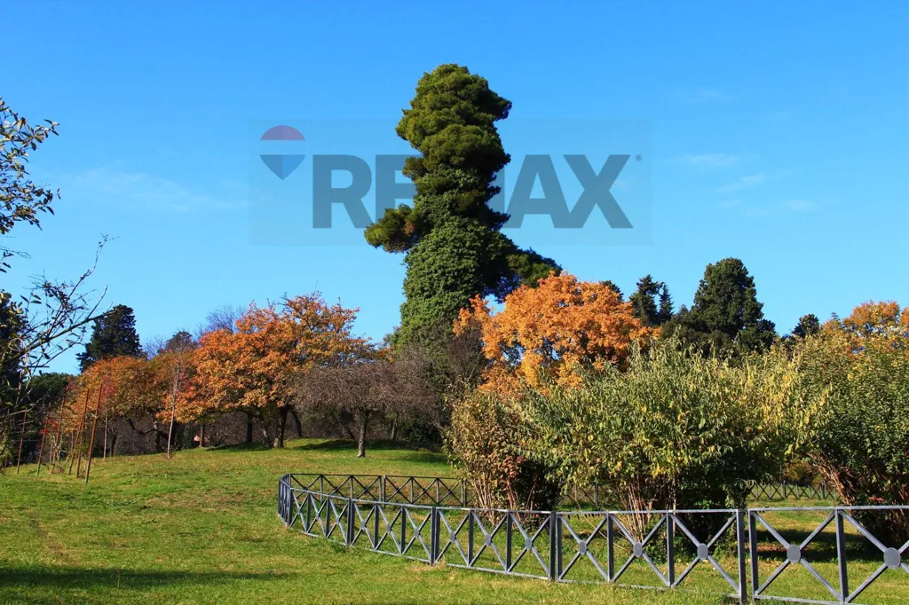 Aed - Panoramic Triplex in Monteverde Vecchio, Rome