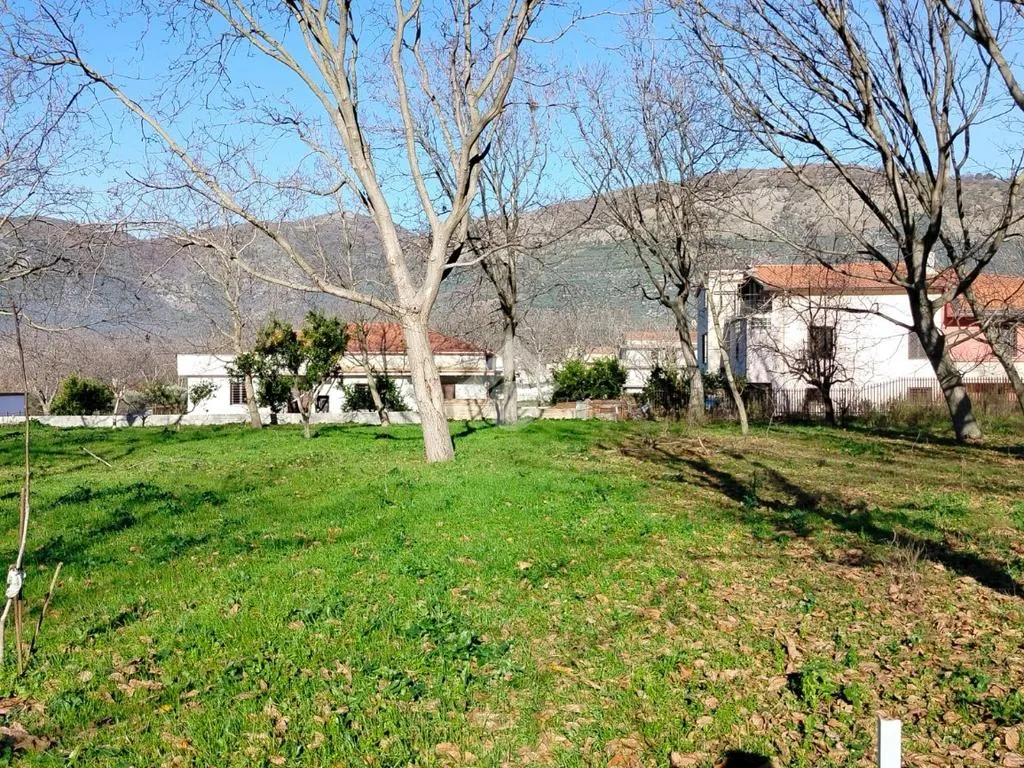 Jardin - Residential Plot in Arienzo, Caserta