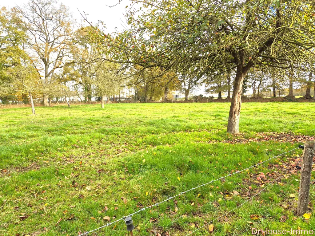 Jardin - Maison en Pierres avec Bureau et Dépendance à Domfront