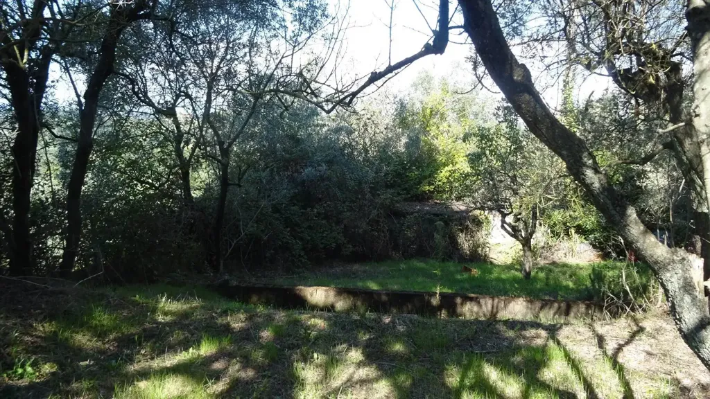 Giardino - Villa panoramica con giardino a Montespertoli