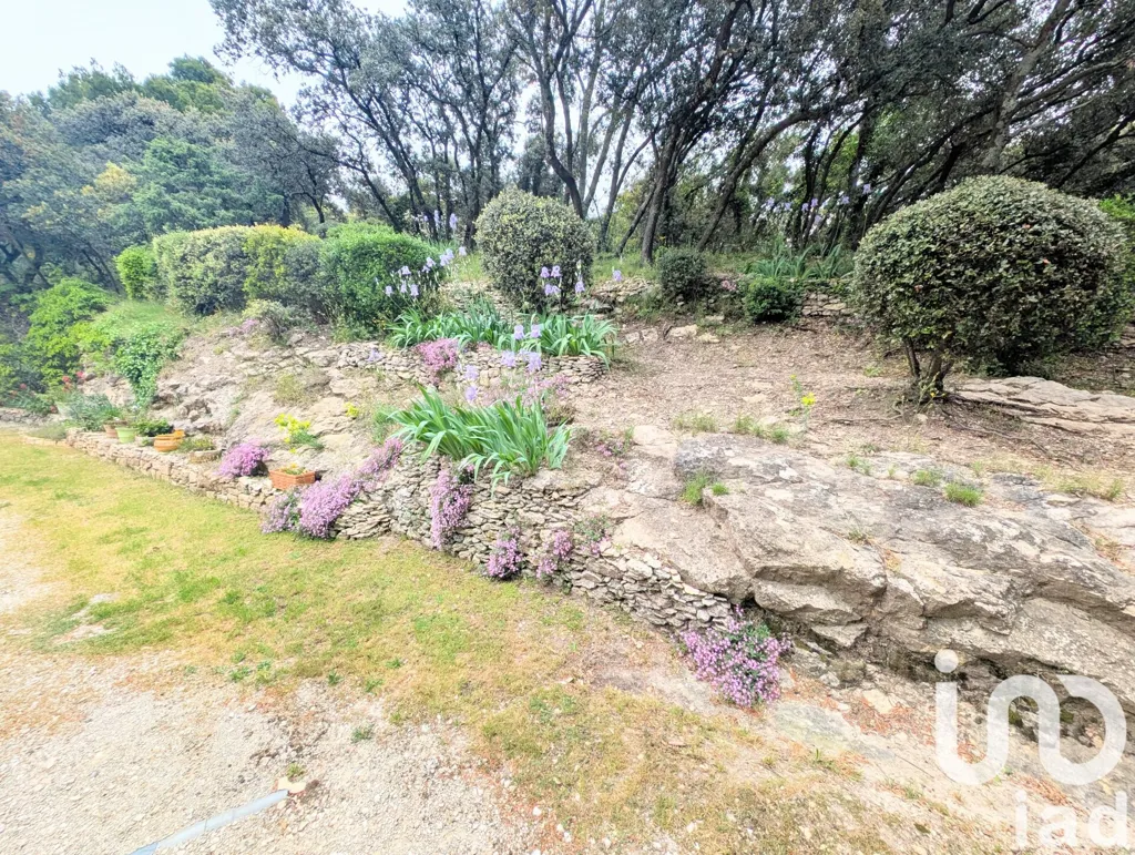 Giardino - Architectural House with Garden in Vacqueyras