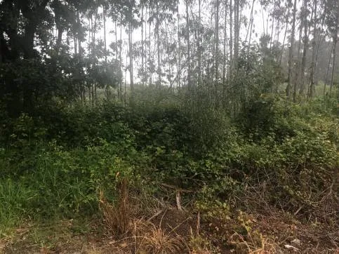 Jardin - Plot with Views in Zas, A Coruña