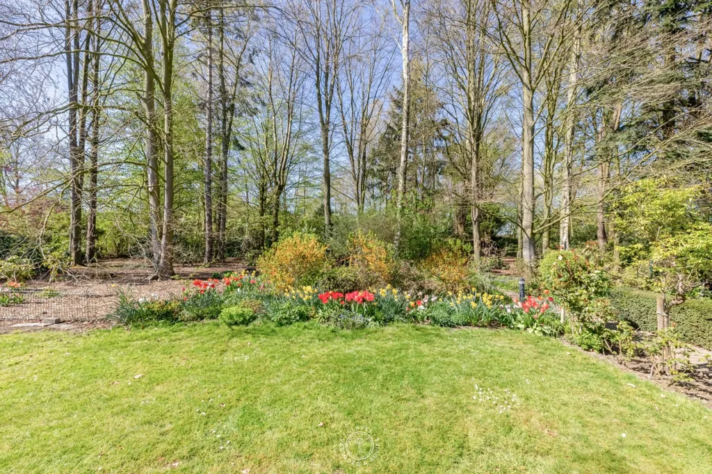 Garden - House with Enchanting Garden in Sint-Niklaas