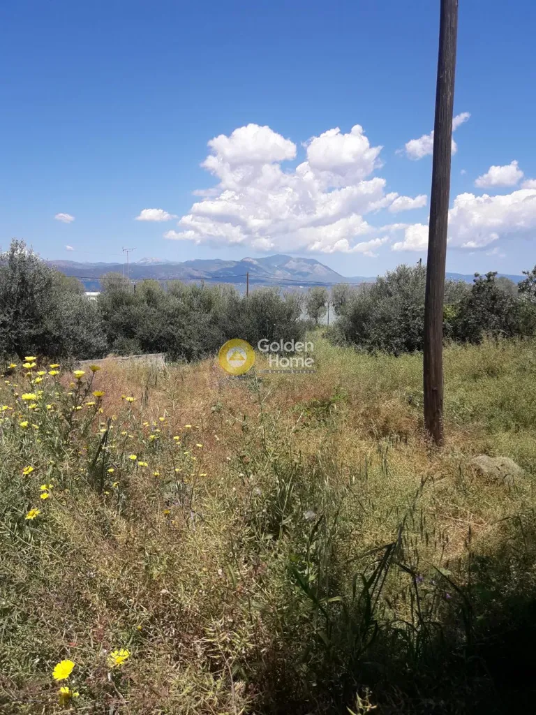 Aed - Seafront Plot with Potential in Dilessi