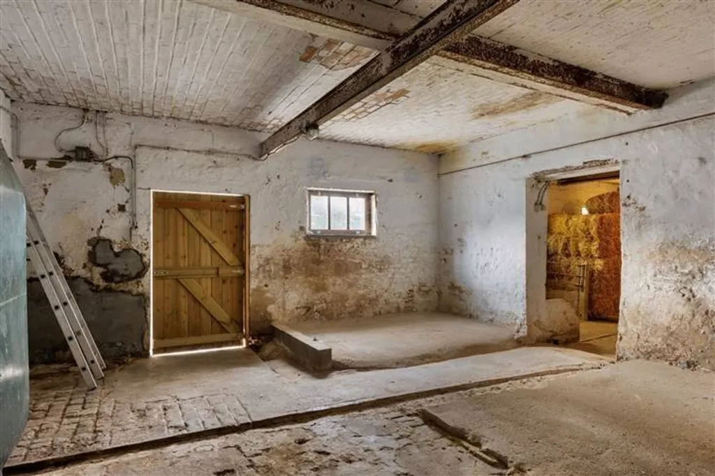 Toad - Farmhouse to Renovate with Garden in Gilmont
