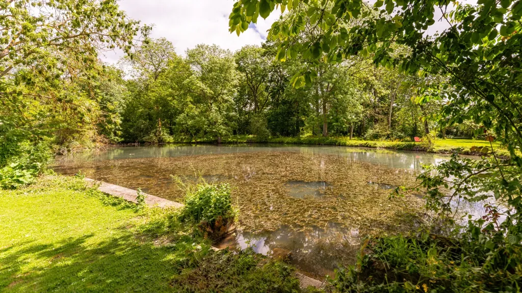 Garden - Renaissance Mill with Equestrian Facilities near Paris