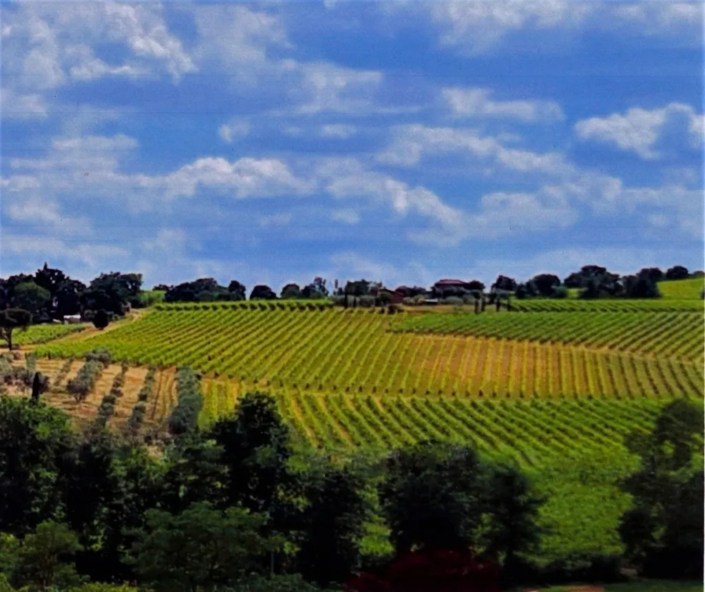 Winery with Vineyards in Montepulciano