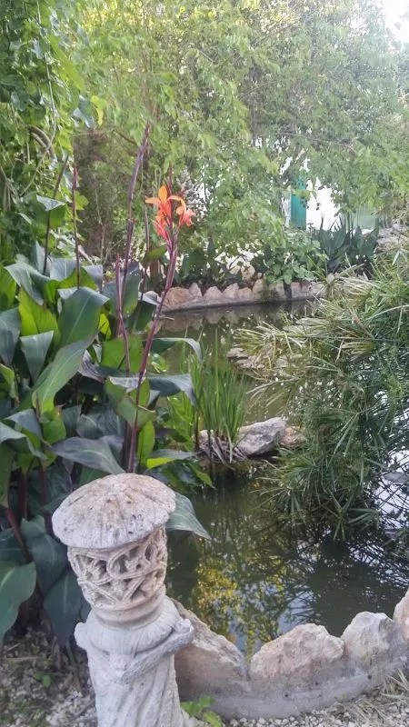 garden