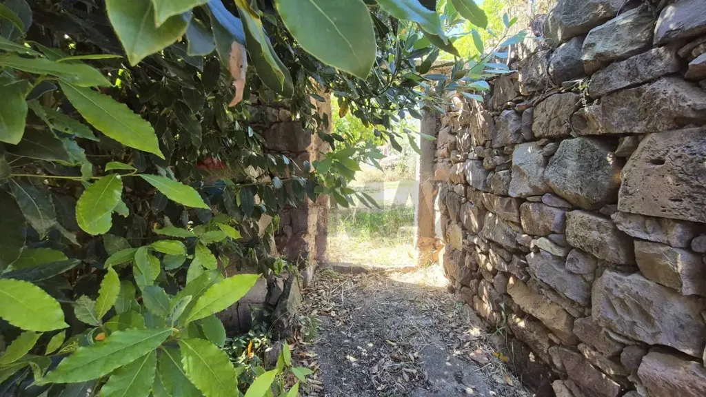 Aed - Rustic House with Olive Grove in Allai
