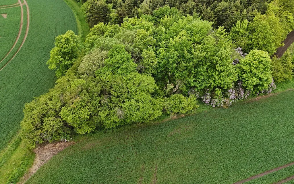 Vue aérienne - Year-Round Plot with 5G Coverage in Gjerlev J