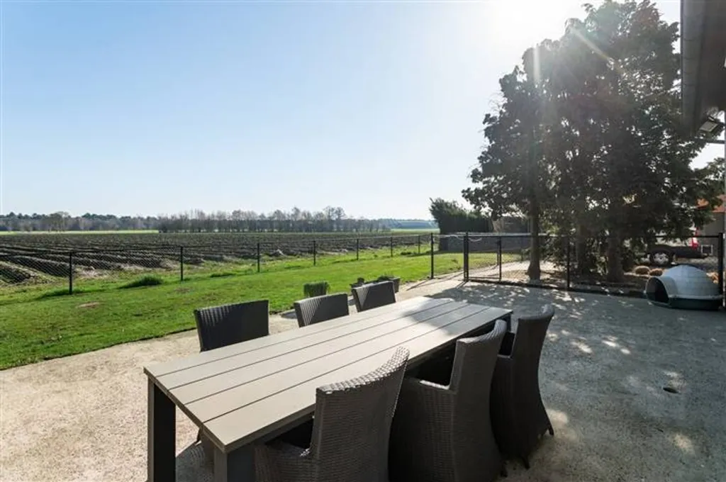 terrace_patio