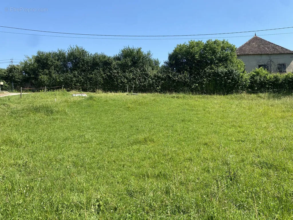 Jardin - Terrain au Calme avec Vue Sud à Brangues