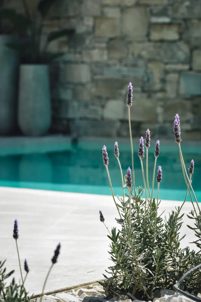 Bassein - Villa with Sea Views in South Crete