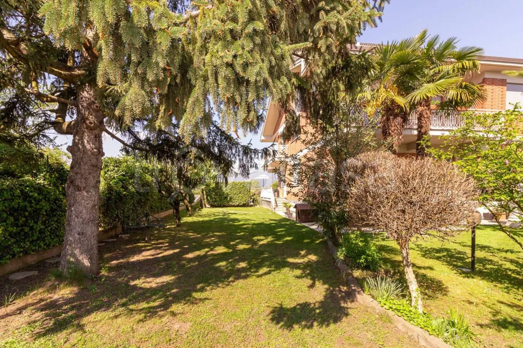 Jardin - Apartment with Terraces in Rosta