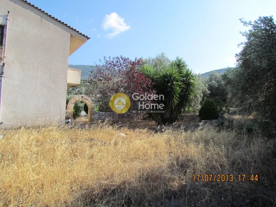 Aed - Plot with Olive Trees in Skroponéri, Boeotia