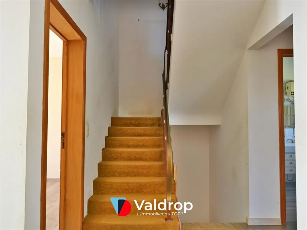 Toad - House with Potential in Arlon
