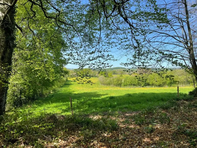Aed - Farmhouse with 12 Hectares in Creuse
