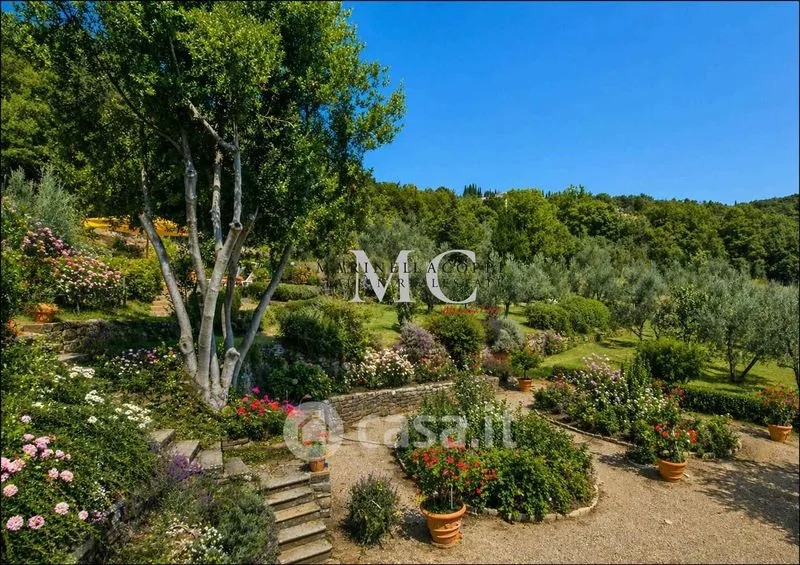 Jardin - Chianti Farmhouse with Vineyard and Pool in Greve