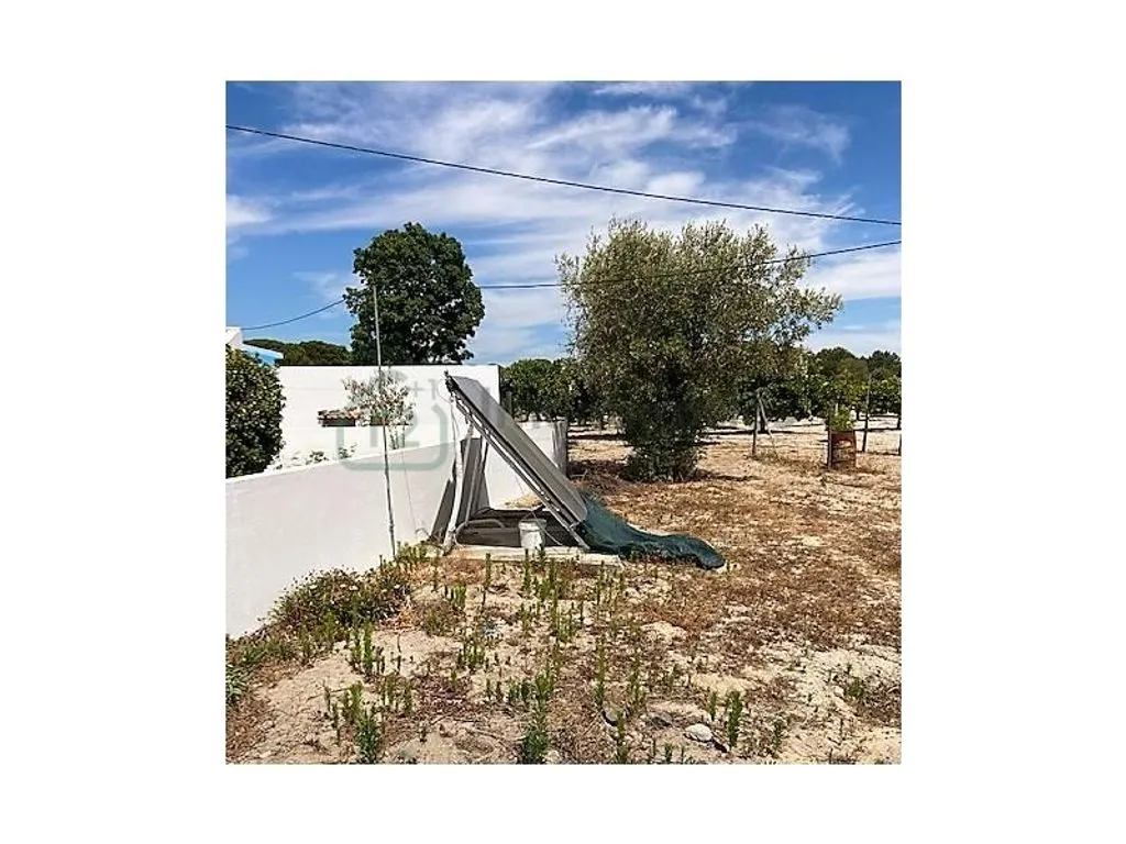 Jardin - Detached House with Vineyard in Grândola