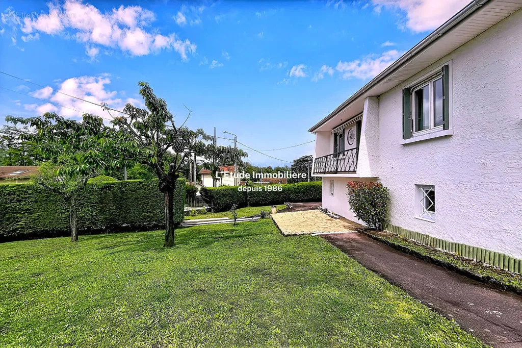 Jardin - Maison avec Jardin au Centre de Caluire