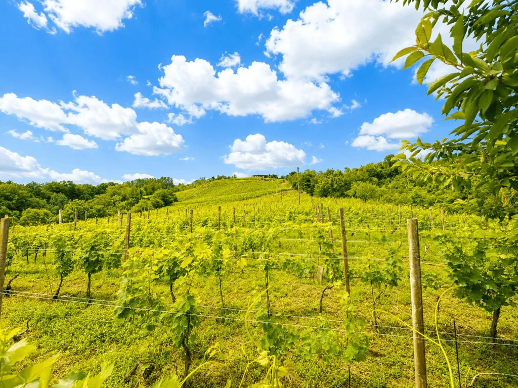 Aed - Piemontese Casetta with Panoramic View in Santo Stefano Belbo