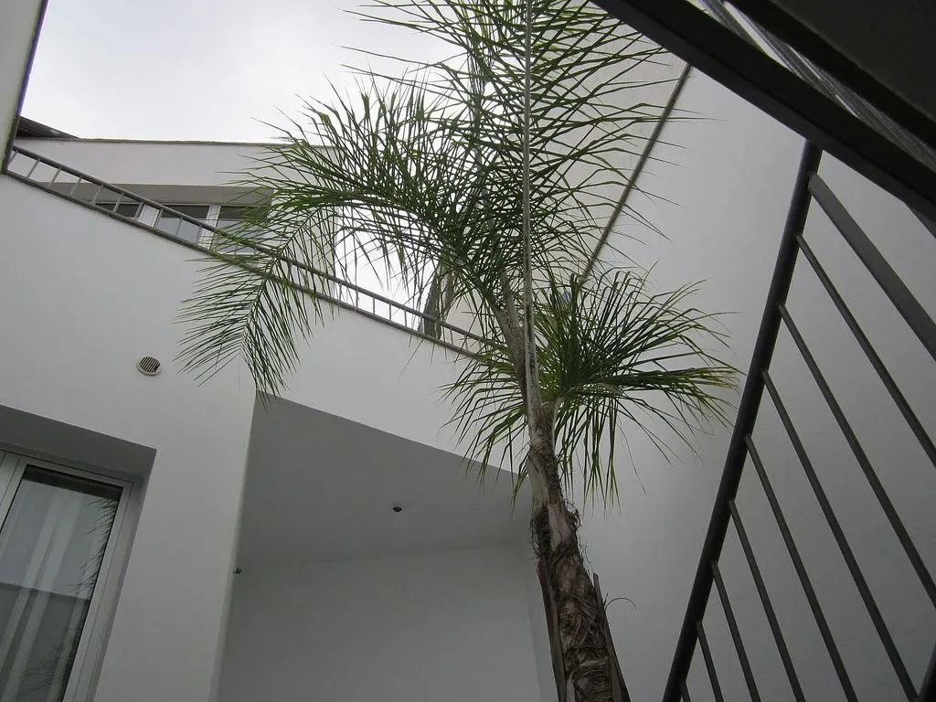 Jardin - Chalet with Sea View and Pool in Triana