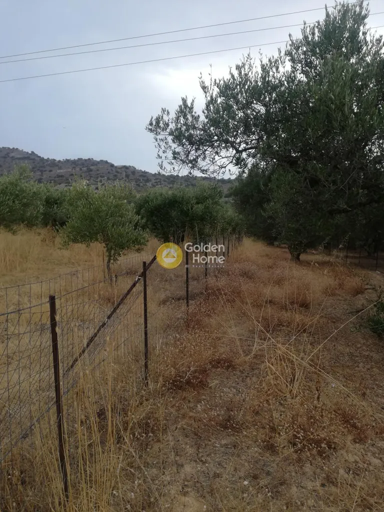 Garden - Agricultural Plot with Mountain View in Gouves