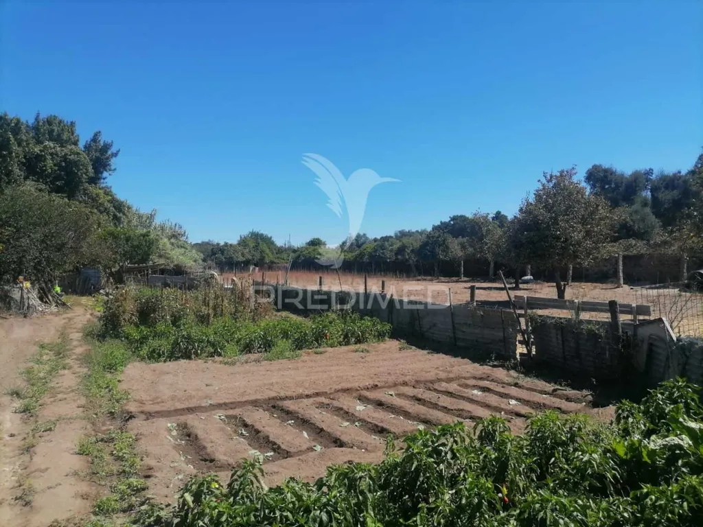 Jardin - Land Plot in Alagoa Centre