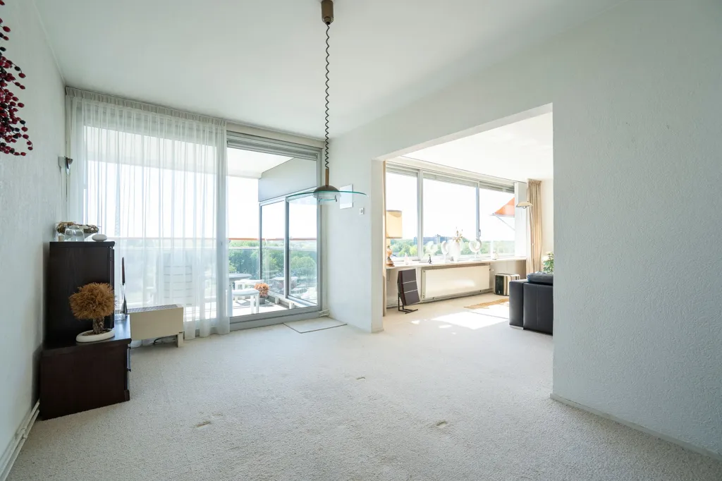 Elutuba - Apartment with Balcony and Views in Papendrecht